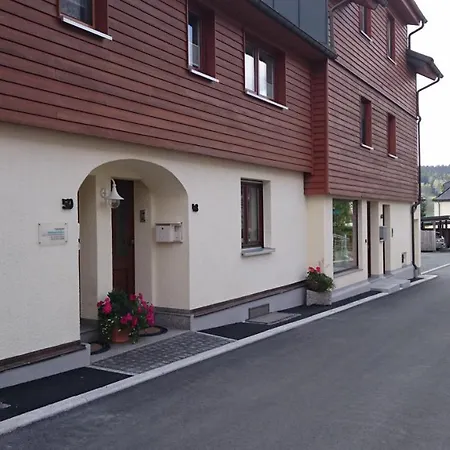 Appartement Louise Klingenthal