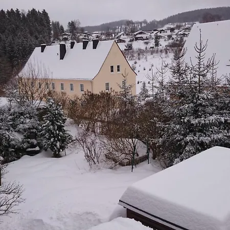 Appartement Louise Klingenthal