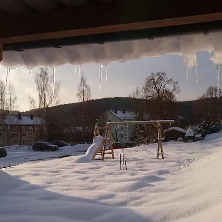 Louise Appartement Klingenthal